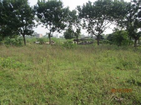 2) Li Id 282 - South Facing Plot.JPG